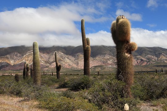 Tour image 11