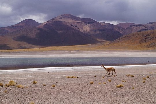 Tour image 4