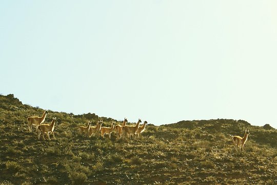 Tour image 3