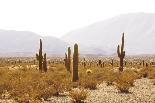 Tour image 7