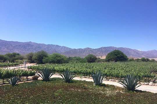 Tour image 8