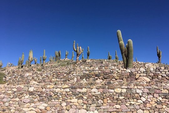 Tour image 8
