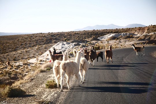 Tour image 13