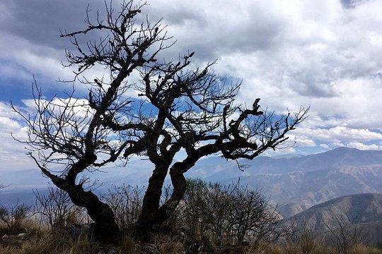Tour image 7