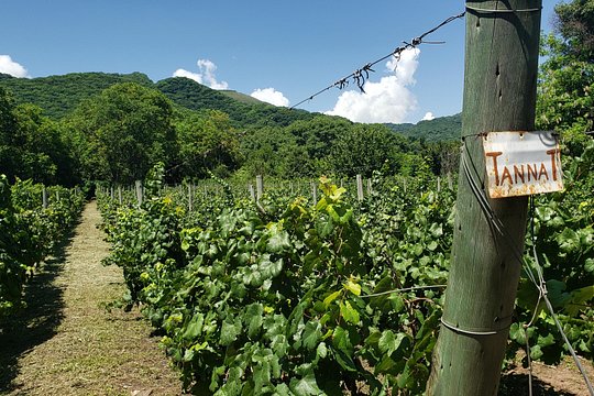 Tour image 4