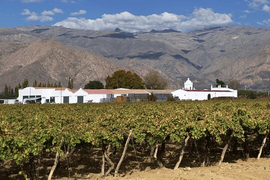 Tour image 14