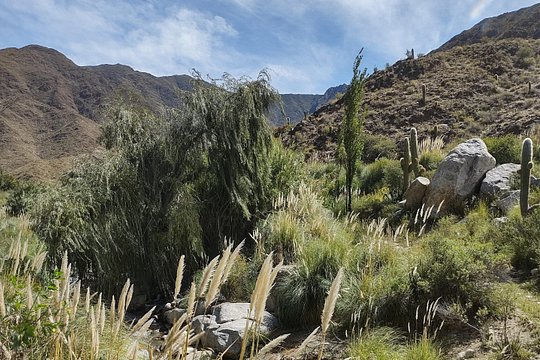 Tour image 6