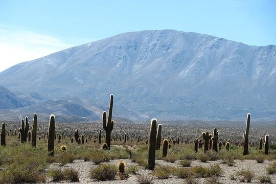 Tour image 8