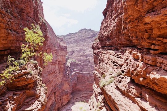 Tour image 8