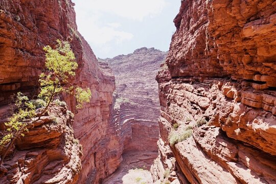 Tour image 7