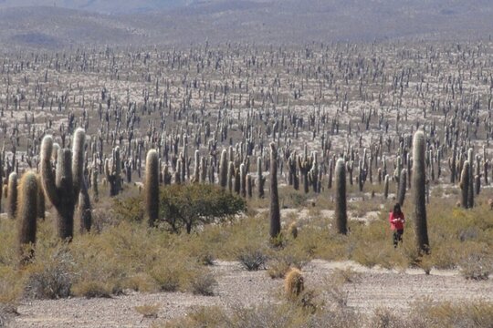 Tour image 13