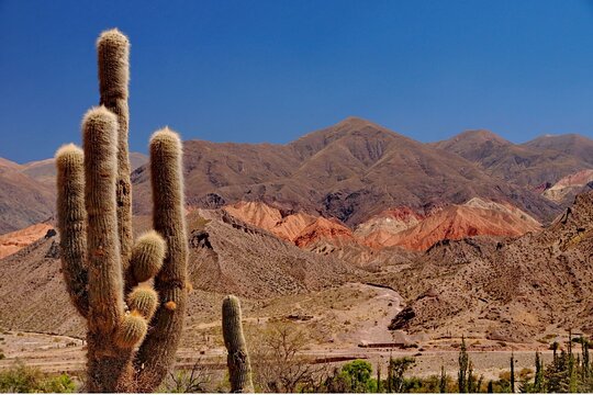 Tour image 10