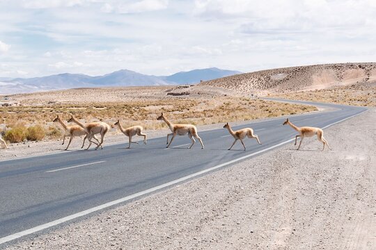 Tour image 10